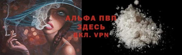 прущие грибы Абдулино