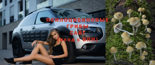 молекула духа Алексеевка